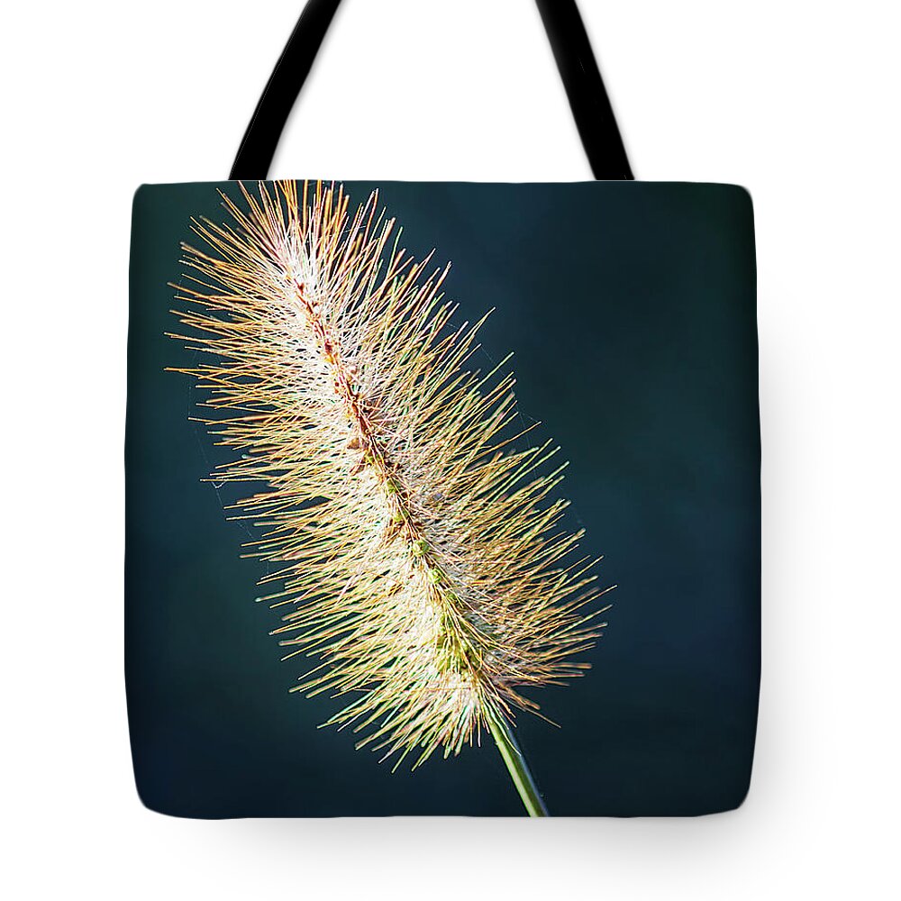 Macro Tote Bag featuring the photograph Golden Glow by Bob Decker