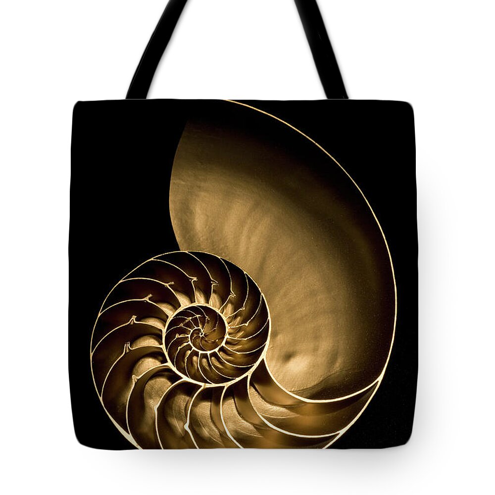 Tranquility Tote Bag featuring the photograph Golden Nautilus Shell On Black Sand by Seth Joel Photography