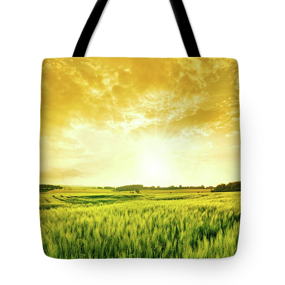 Environmental Conservation Tote Bag featuring the photograph Golden Wheat Landscape by Nikada