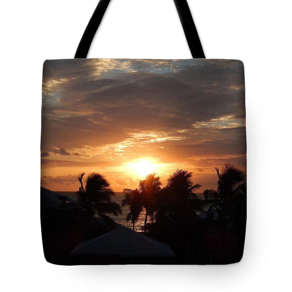 Sunset Tote Bag featuring the photograph Good as Gold by Patricia Caron