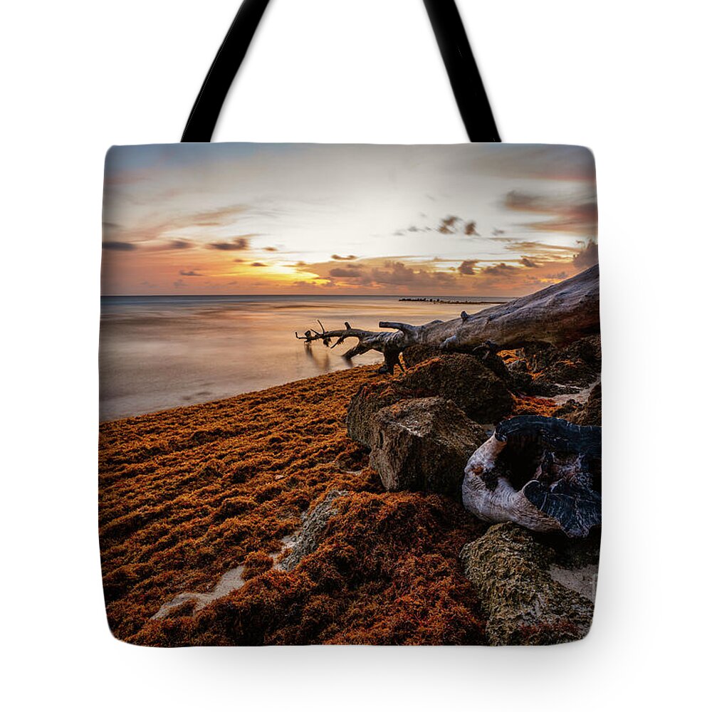 2019 Tote Bag featuring the photograph Good Evening South Coast by Hugh Walker