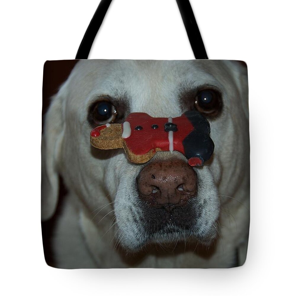 Humor Tote Bag featuring the photograph Good Girl by Marty Klar