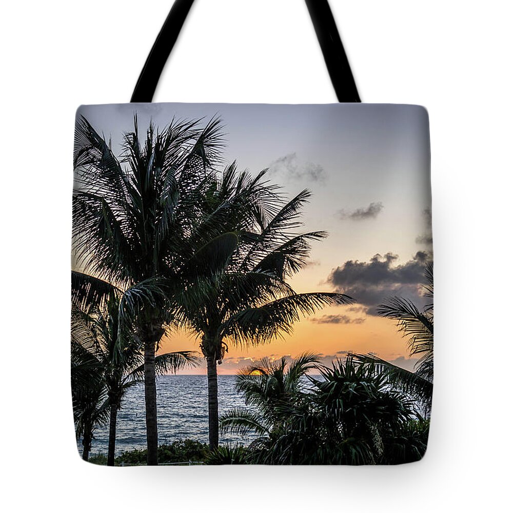 Miami Tote Bag featuring the photograph Good Morning, Sun by Susie Weaver