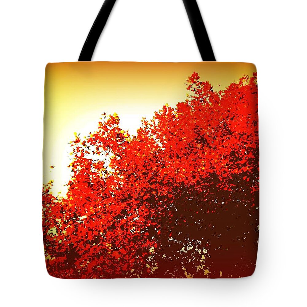 Sunrise Tote Bag featuring the photograph Gooood Morning Sydney by VIVA Anderson