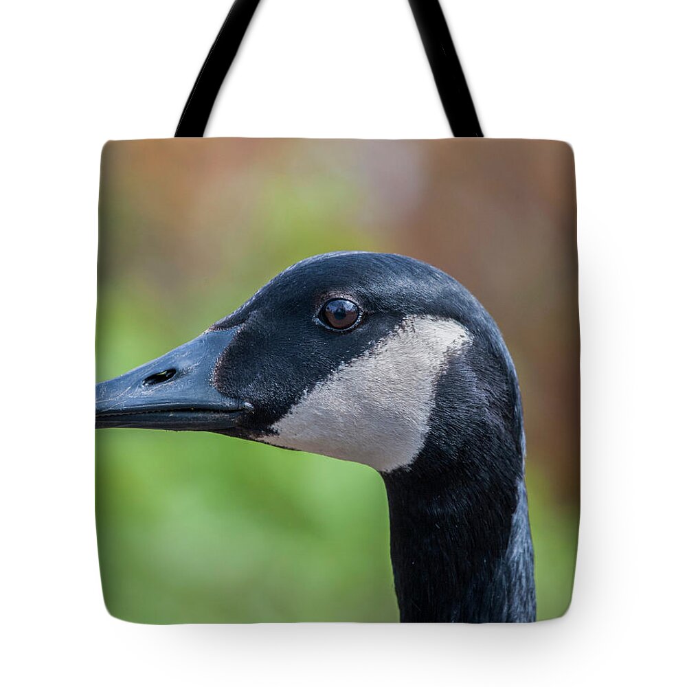 Waterfowl Tote Bag featuring the photograph Goose portrait by Cathy Kovarik