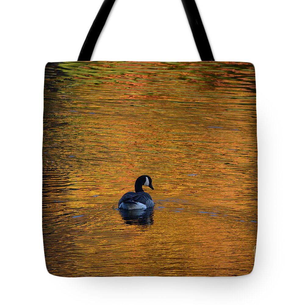 Geese Tote Bag featuring the photograph Goose Swimming In Autumn Colors by Dani McEvoy