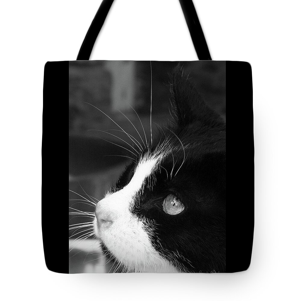 Gorgeous Tote Bag featuring the photograph Gorgeous in Profile by Sandra Dalton
