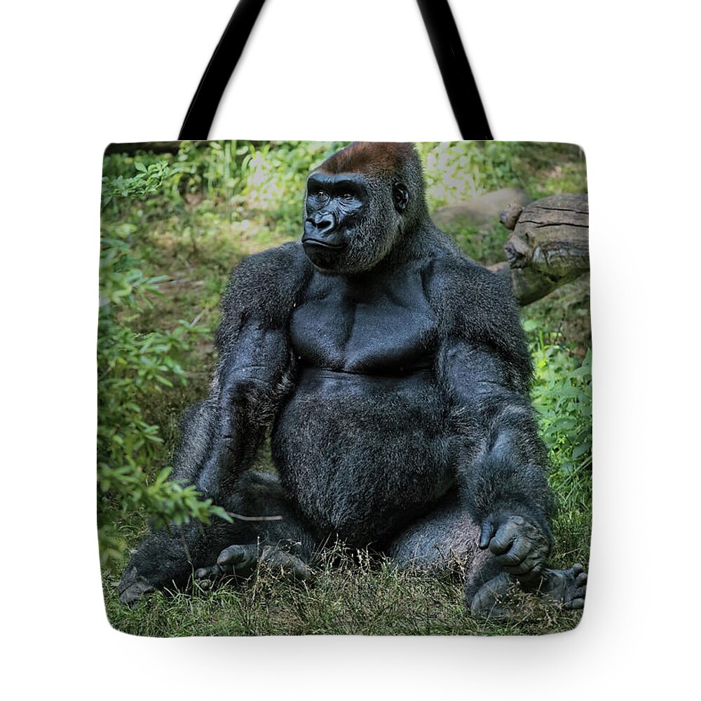 Bronx Zoo Tote Bag featuring the photograph Gorilla Pose 3 by Doolittle Photography and Art