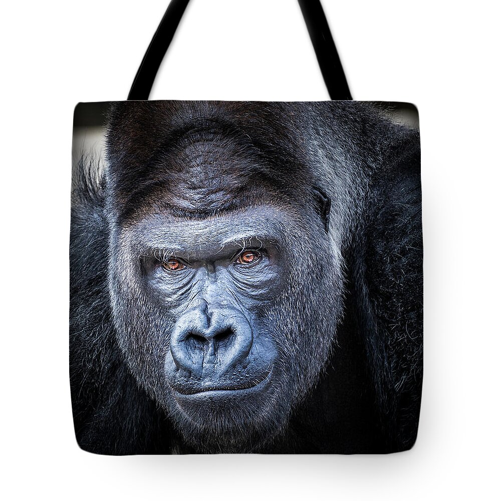 Gorillas Tote Bag featuring the photograph Gorrilla by Robert Bellomy