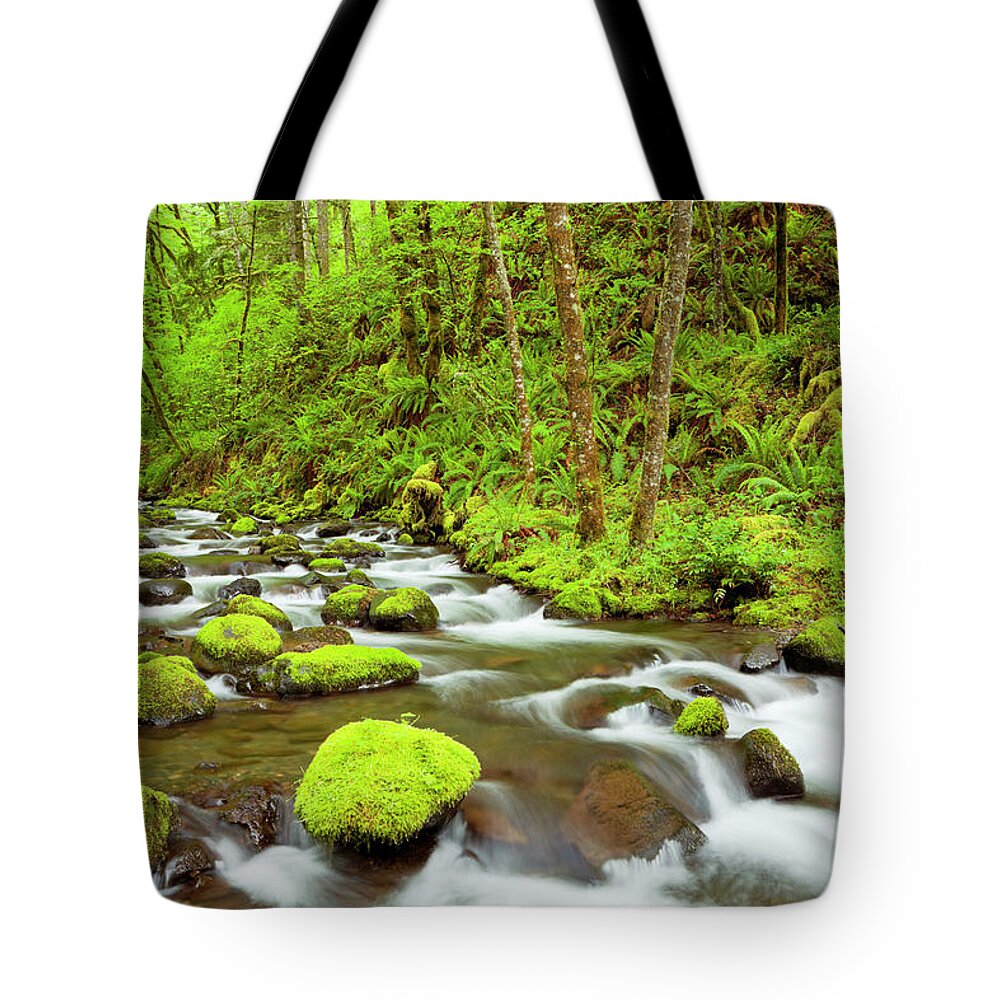 Scenics Tote Bag featuring the photograph Gorton Creek Through Lush Rainforest by Sara winter
