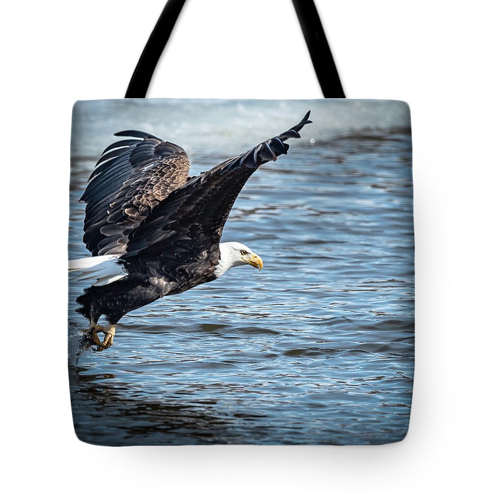 Eagle Tote Bag featuring the photograph Got It by Laura Hedien