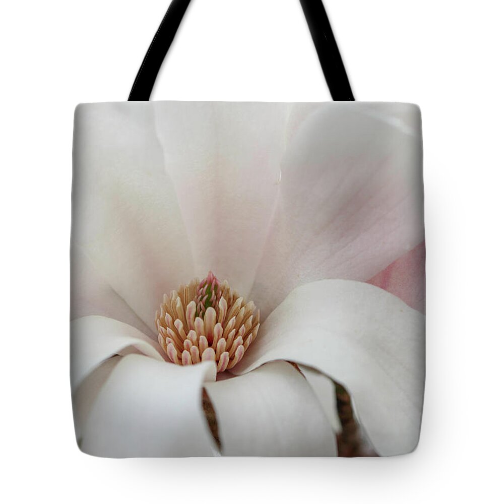 Dogwood Tote Bag featuring the photograph Grace Laced by Mary Anne Delgado