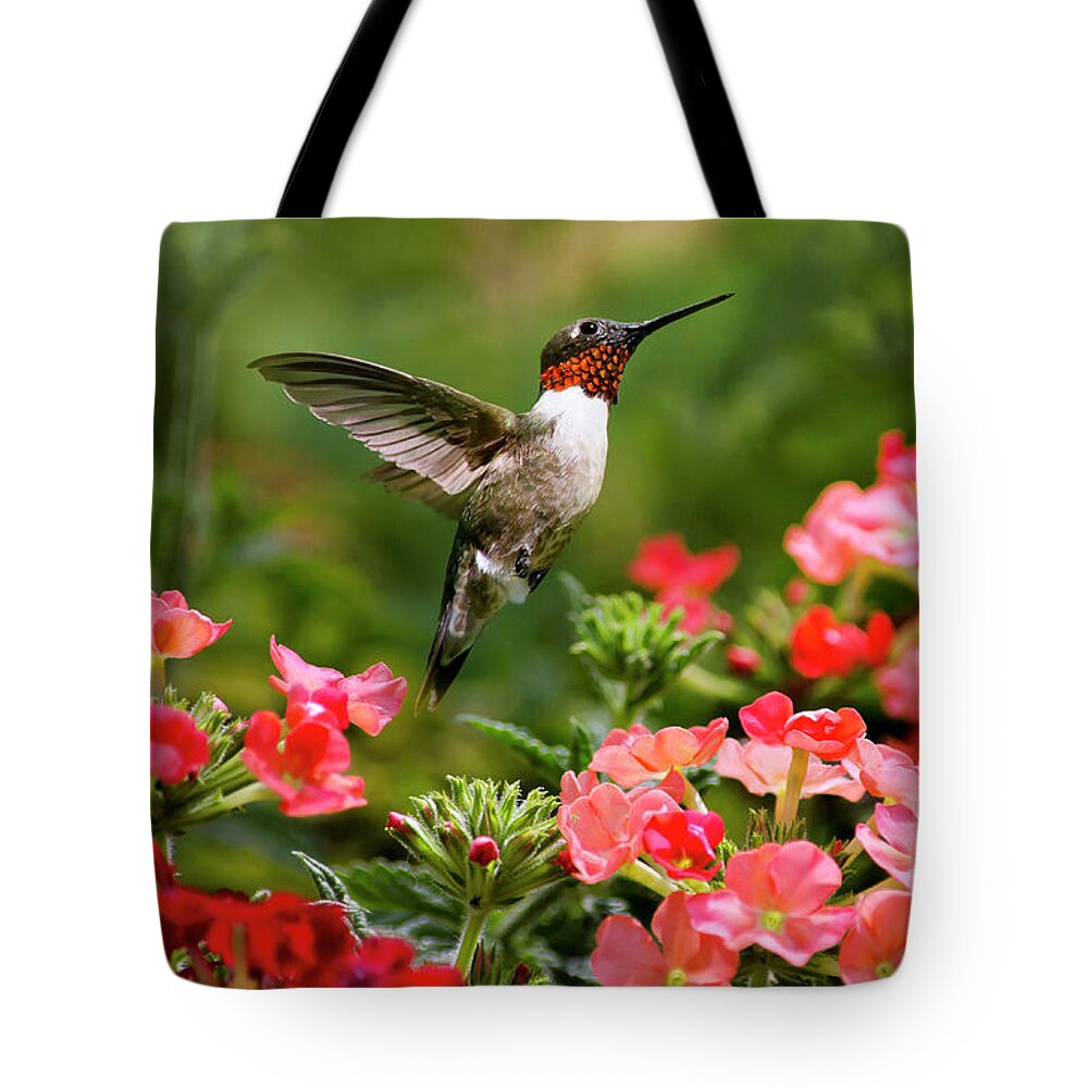 Hummingbird Tote Bag featuring the photograph Graceful Garden Jewel by Christina Rollo