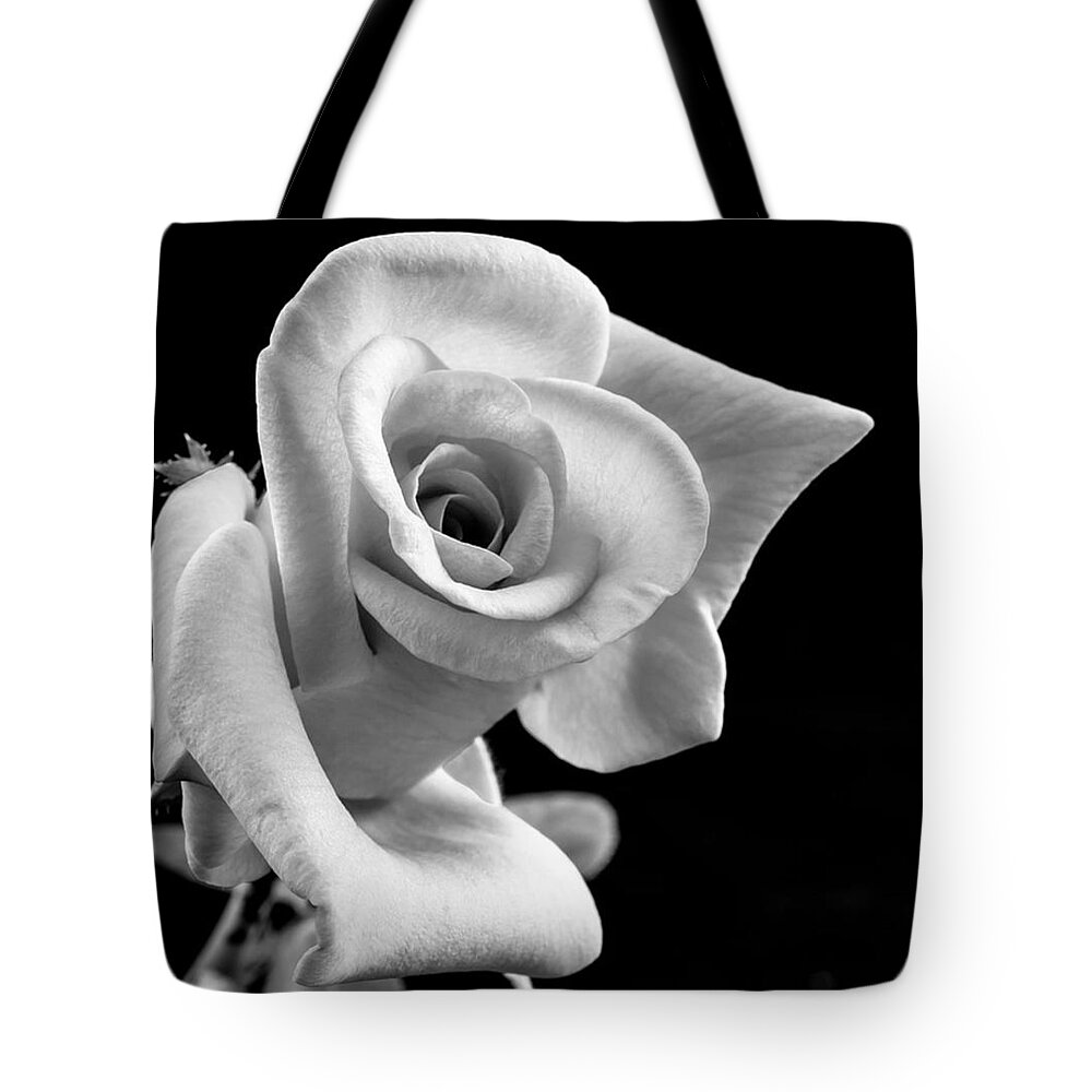 Rose Tote Bag featuring the photograph Graceful Rose by Teresa Trotter