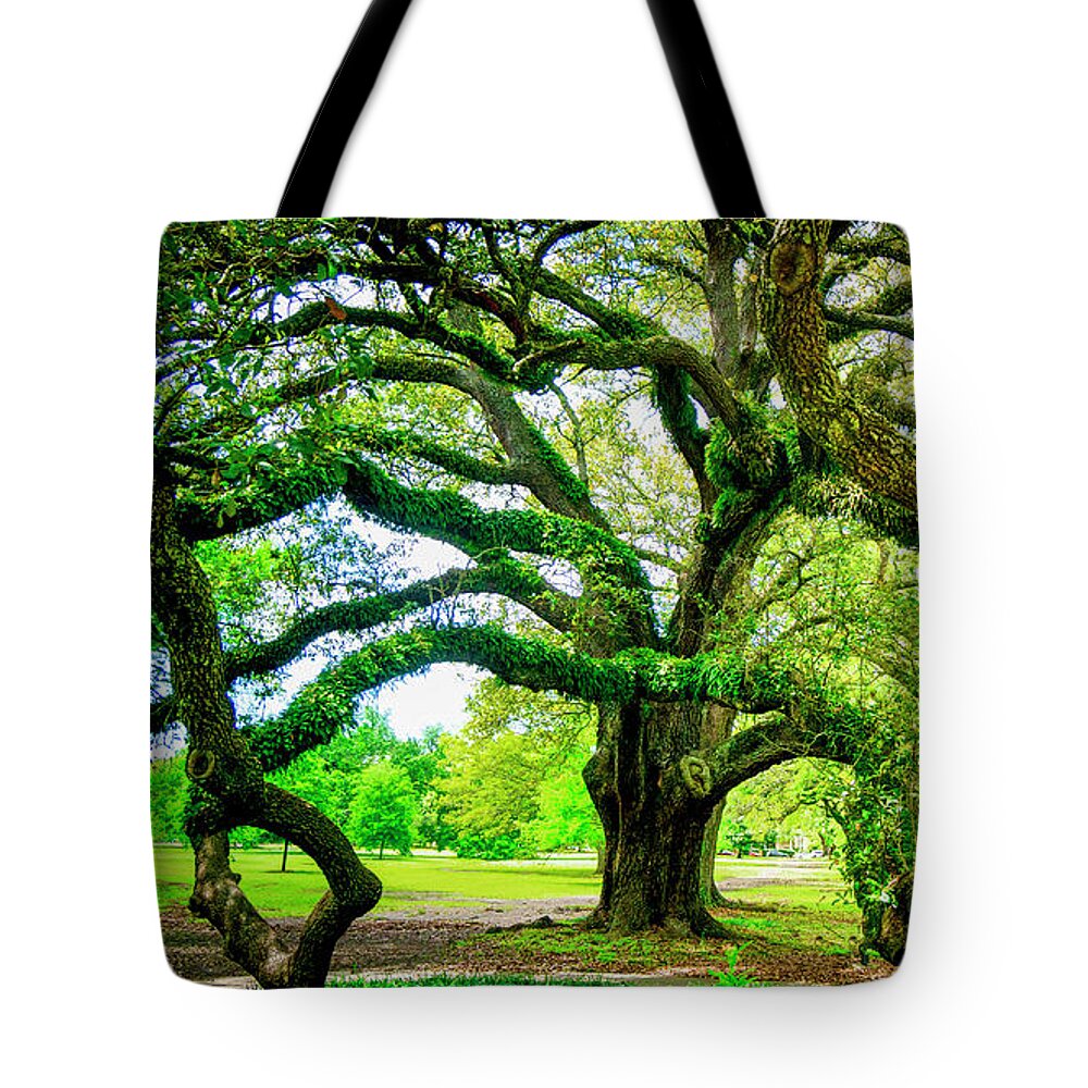 Nature Tote Bag featuring the photograph Grande by Hugh Walker