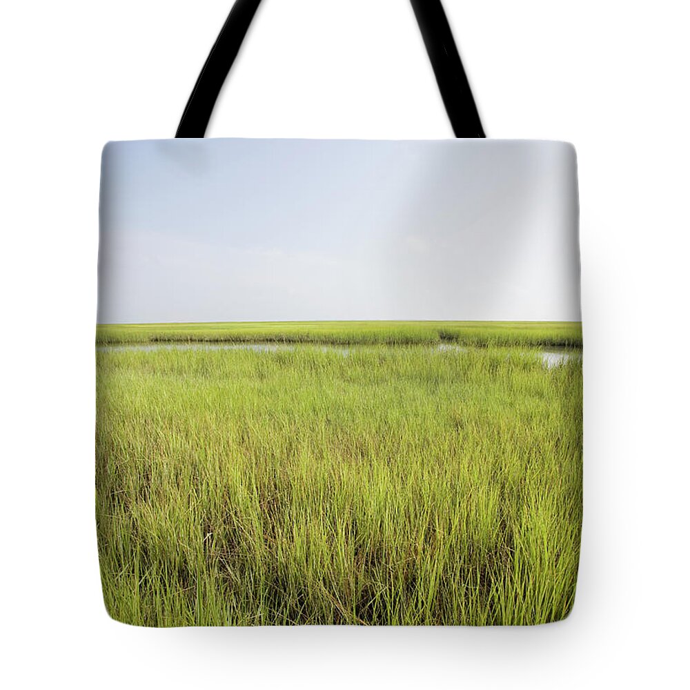 Grass Tote Bag featuring the photograph Grass by Chris Hackett
