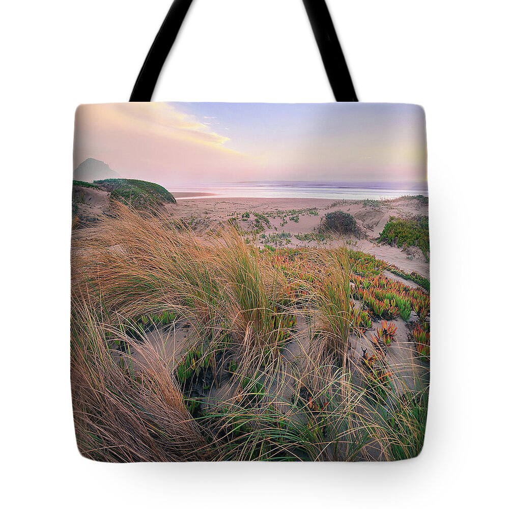 00586332 Tote Bag featuring the photograph Grasses On Dunes, Morro Rock, Morro Bay, California by Tim Fitzharris