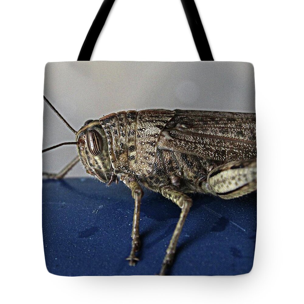 Grasshopper Tote Bag featuring the photograph Grasshopper macro by Martin Smith