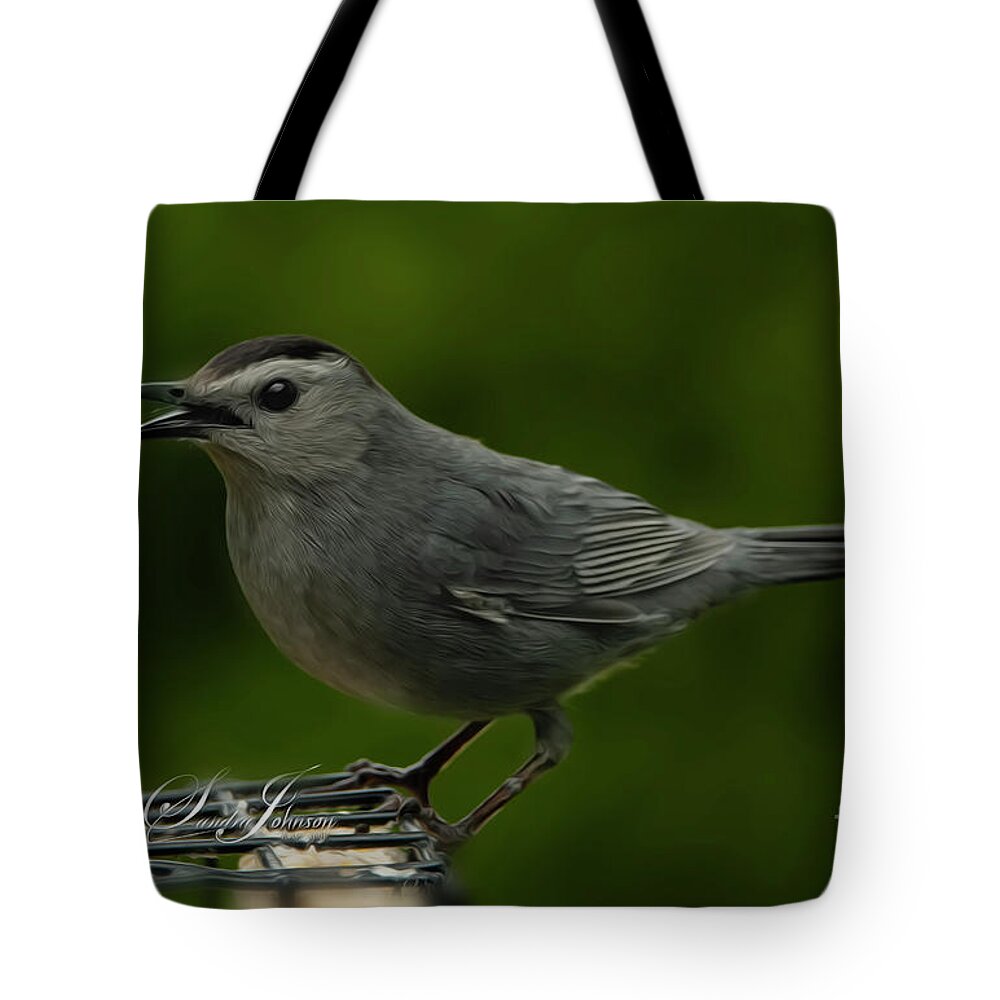 Cawing Tote Bag featuring the photograph Gray Cat Bird Cawing by Sandra J's