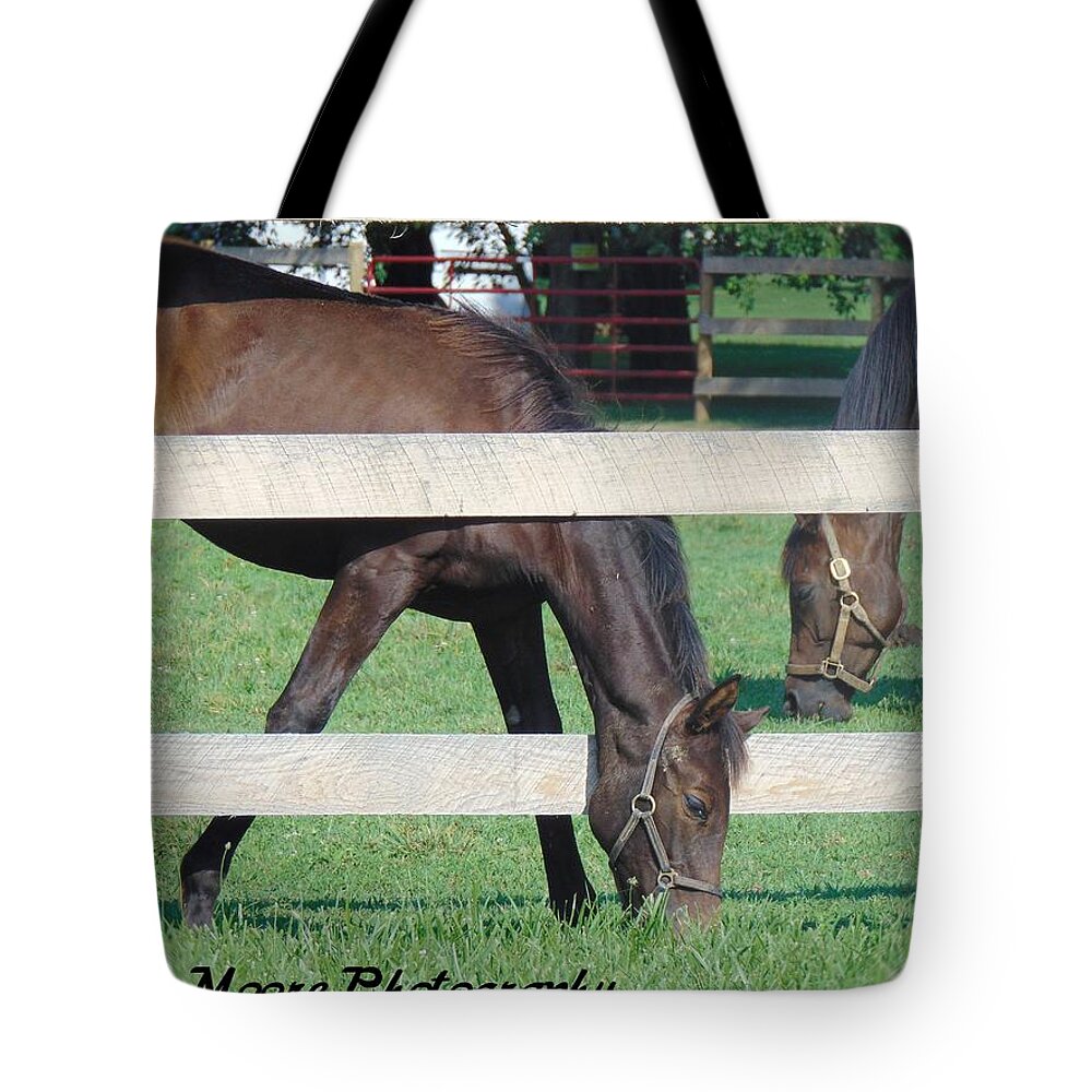 Horse Tote Bag featuring the photograph Grazing Beauty by Antonio Moore