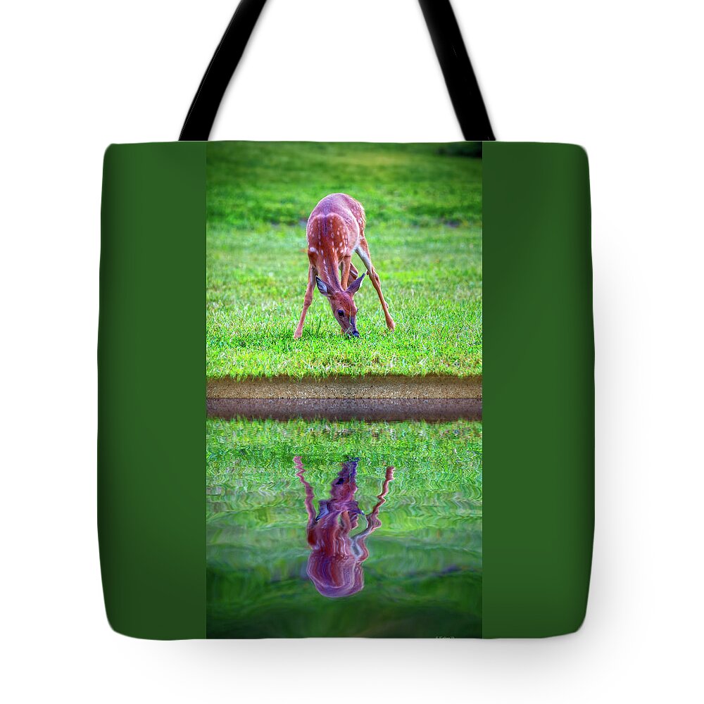2d Tote Bag featuring the photograph Grazing Reflection by Brian Wallace
