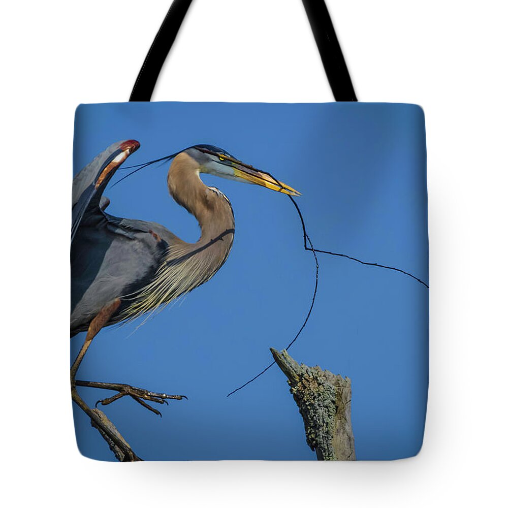 Herons Tote Bag featuring the photograph Great Blue Heron 4034 by Donald Brown