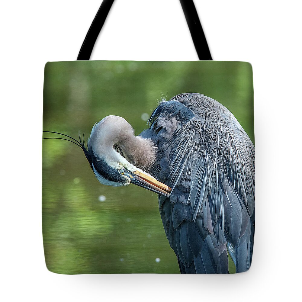Nature Tote Bag featuring the photograph Great Blue Heron Preening DMSB0157 by Gerry Gantt