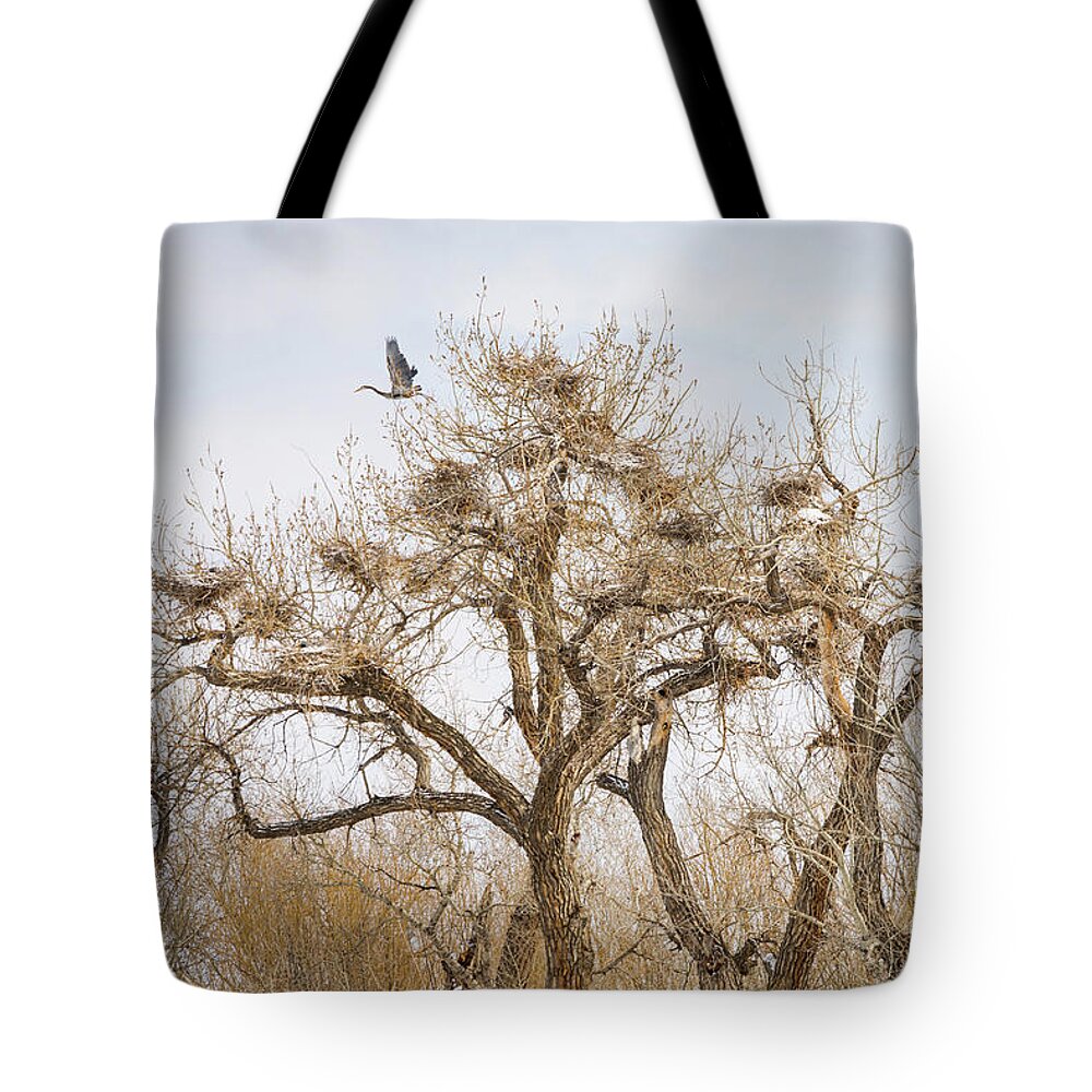 Great Blue Heron Tote Bag featuring the photograph Great Blue Heron Rookery by James BO Insogna
