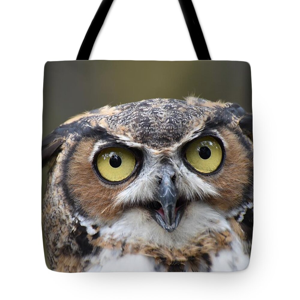 Great Horned Owl Tote Bag featuring the photograph Great Horned Owl 522 by Joyce StJames