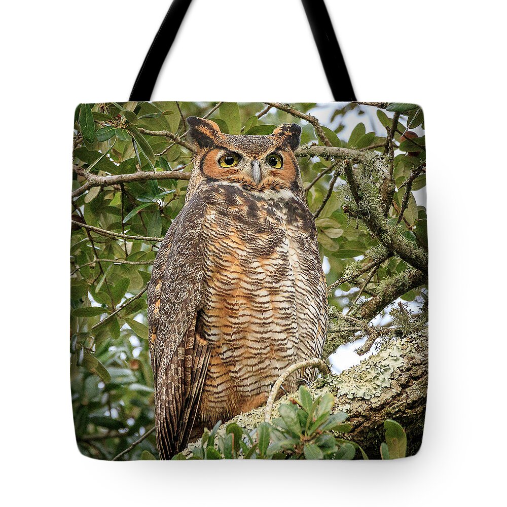 Greathornedowl Tote Bag featuring the photograph Great Horned Owl by JASawyer Imaging