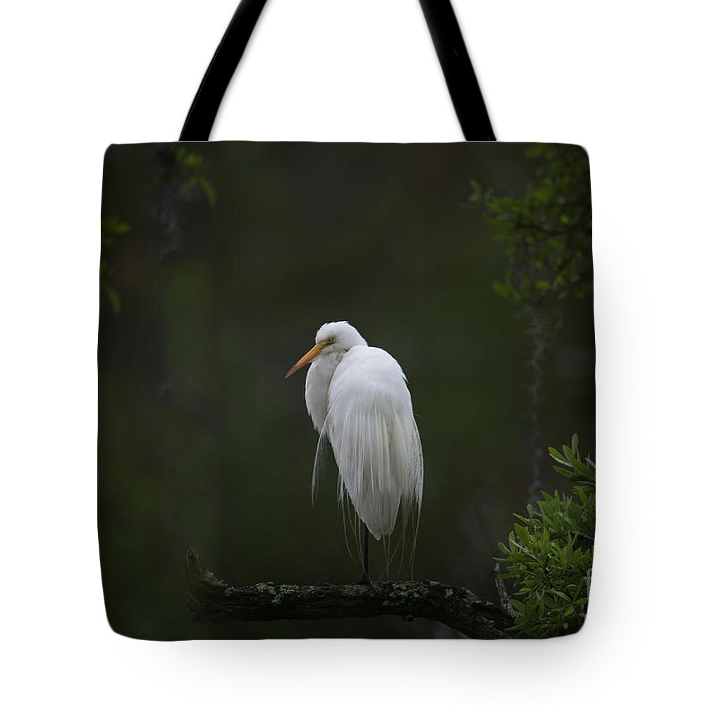 Great White Heron Tote Bag featuring the photograph Great White Heron - Lowcountry Marsh by Dale Powell