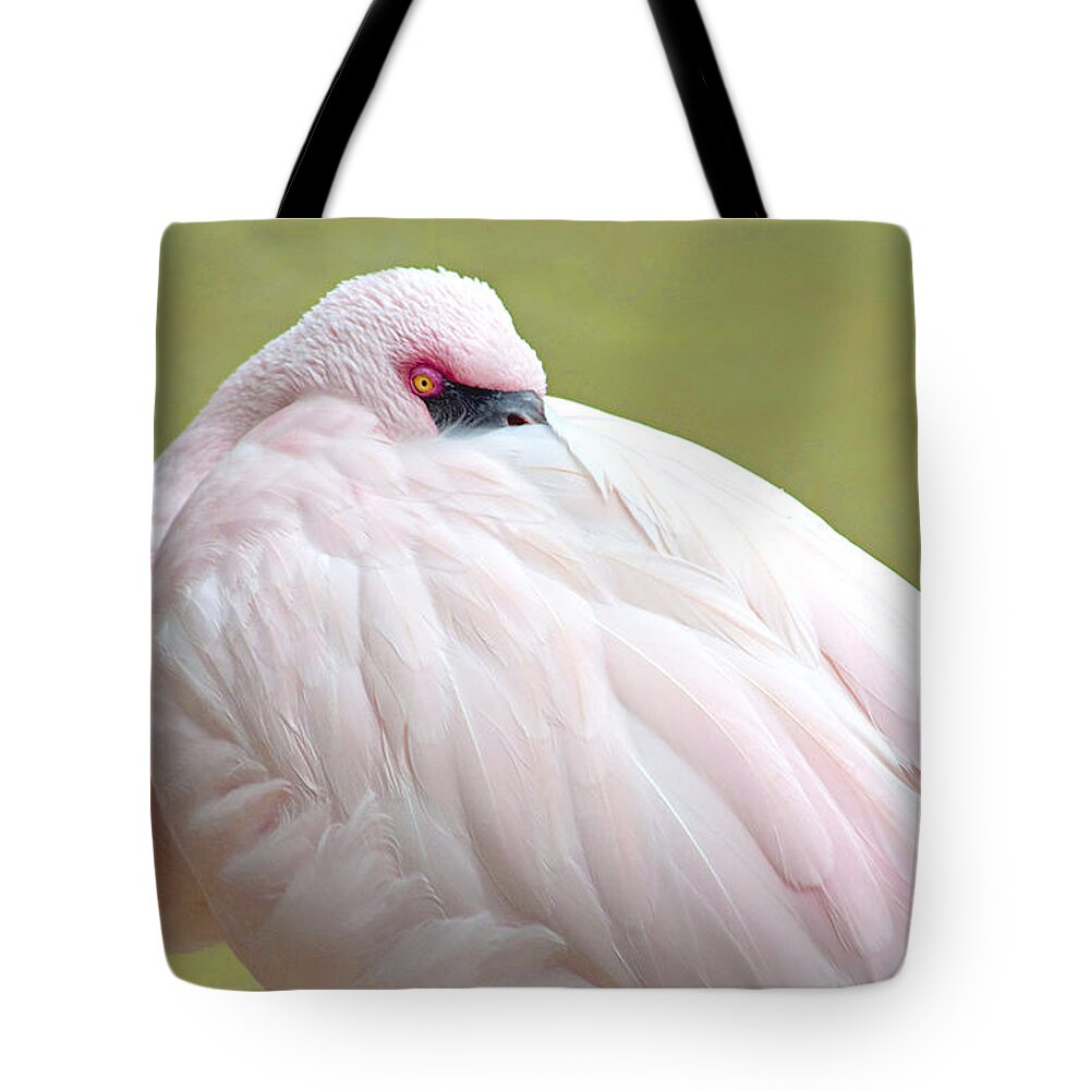 Wildlife Tote Bag featuring the photograph Greater Flamingo by A Macarthur Gurmankin