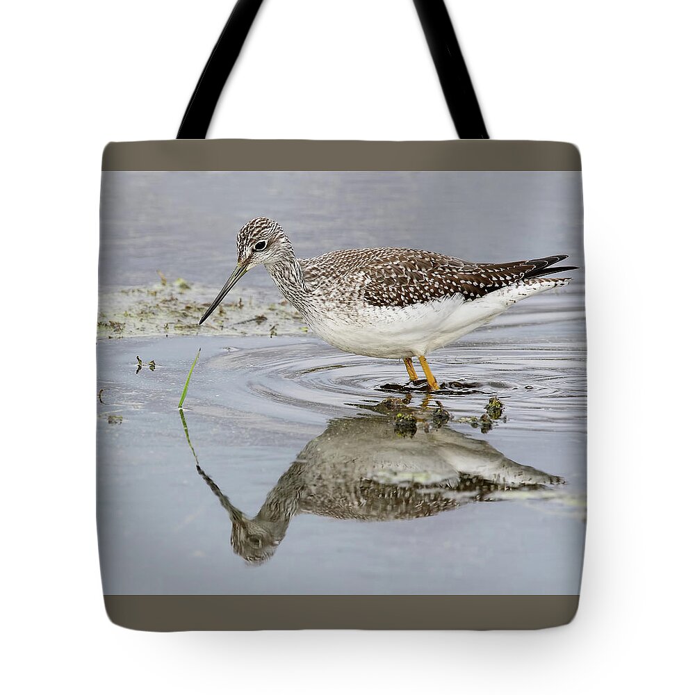 Shorebird Tote Bag featuring the photograph Greater Yellowlegs by Jim Zablotny