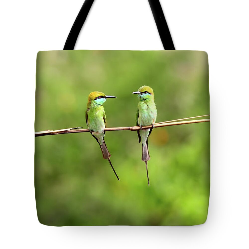 Animal Themes Tote Bag featuring the photograph Green Bee Eater Couple by Munish Kaushik Photography