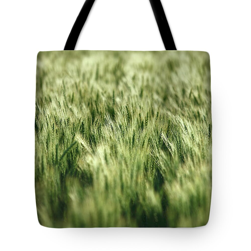 Green Tote Bag featuring the photograph Green Growing Wheat by Todd Klassy
