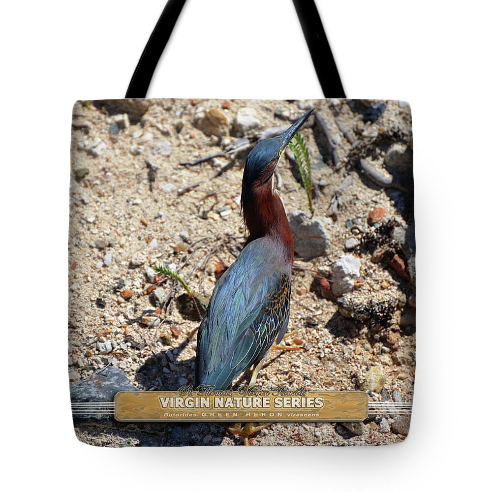 Green Heron Tote Bag featuring the photograph Green Heron Strut - Virgin Nature Series by Climate Change VI - Sales