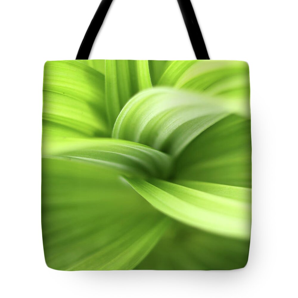 Scenics Tote Bag featuring the photograph Green Leaves by Bibikoff