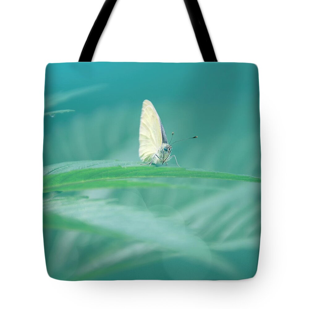 Butterfly Tote Bag featuring the photograph Green Morning by Jaroslav Buna