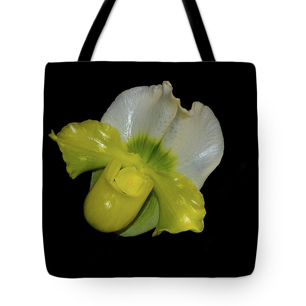 Jean Noren Tote Bag featuring the photograph Green Orchid by Jean Noren