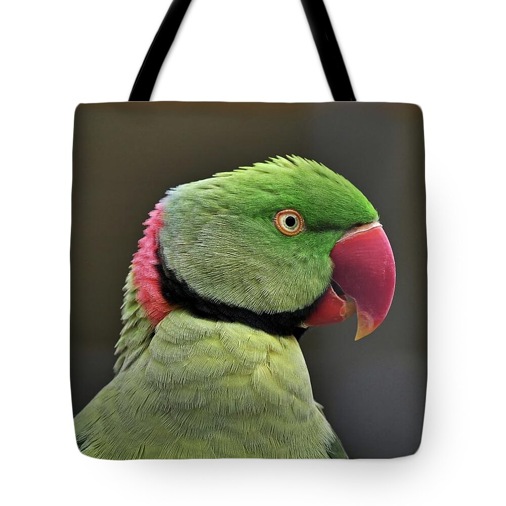 Bird Tote Bag featuring the photograph Green parrot by Martin Smith