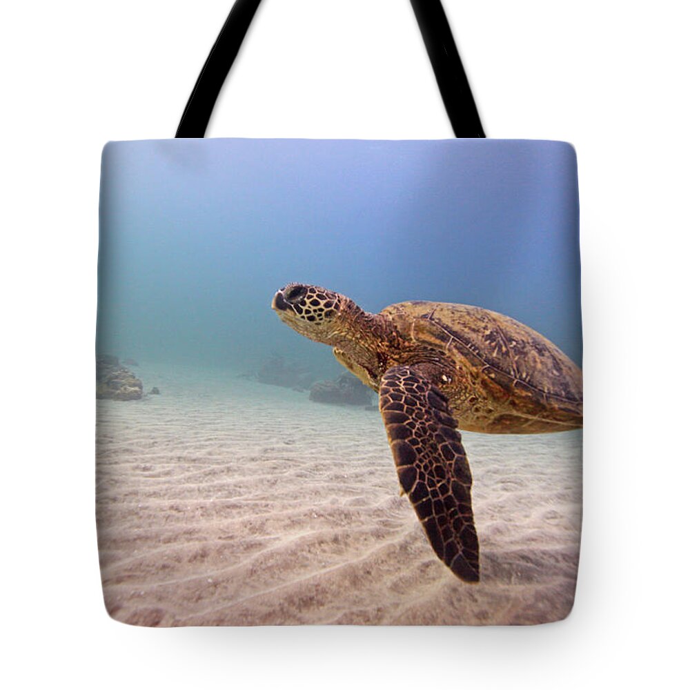 Underwater Tote Bag featuring the photograph Green Sea Turtle by Chris Stankis