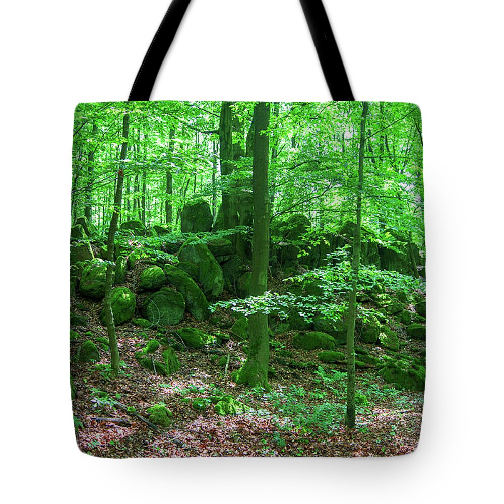 Forest Tote Bag featuring the photograph Green stony forest in Vogelsberg by Sun Travels