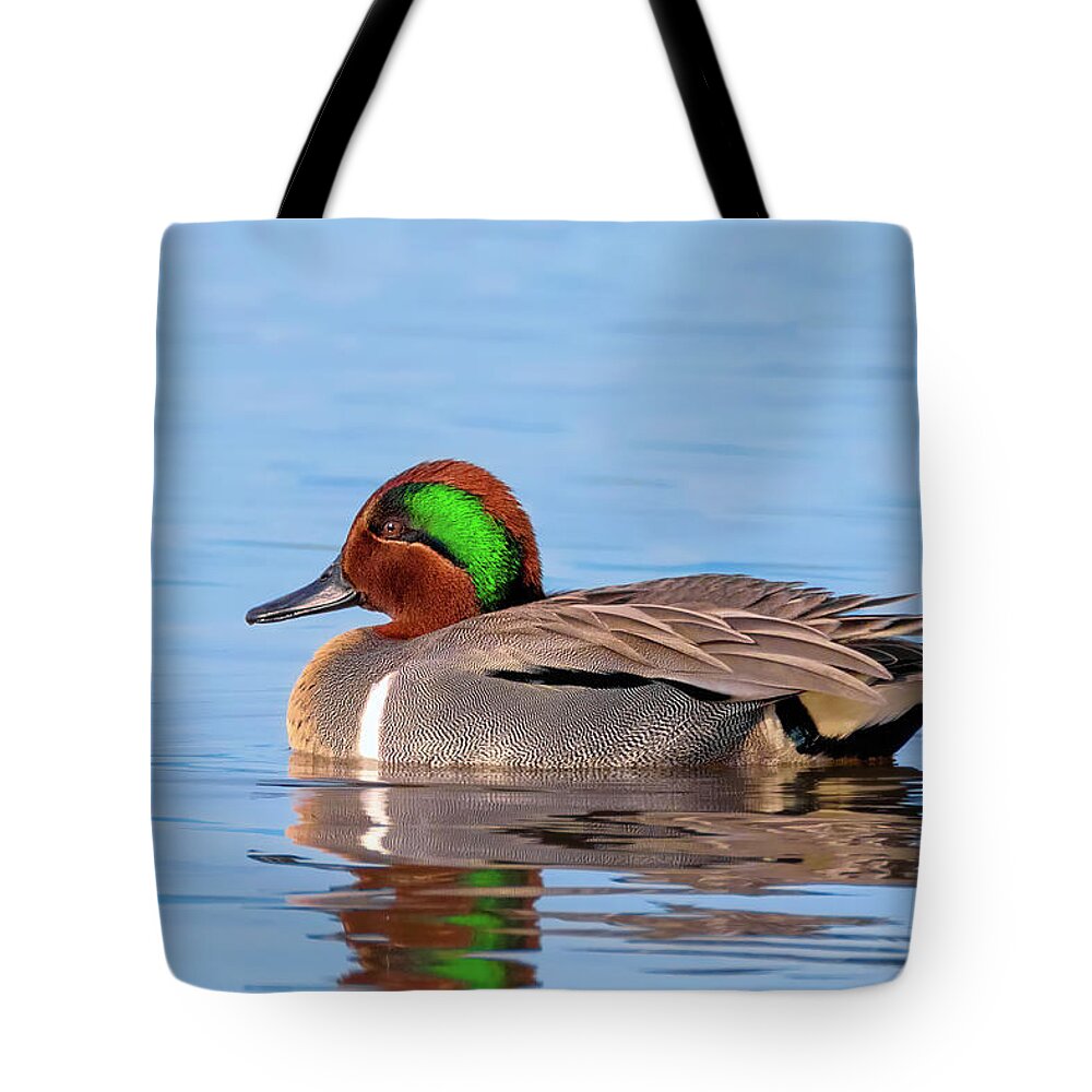 Green-winged Teal Tote Bag featuring the photograph Green-winged Teal on the Pond by Kathleen Bishop