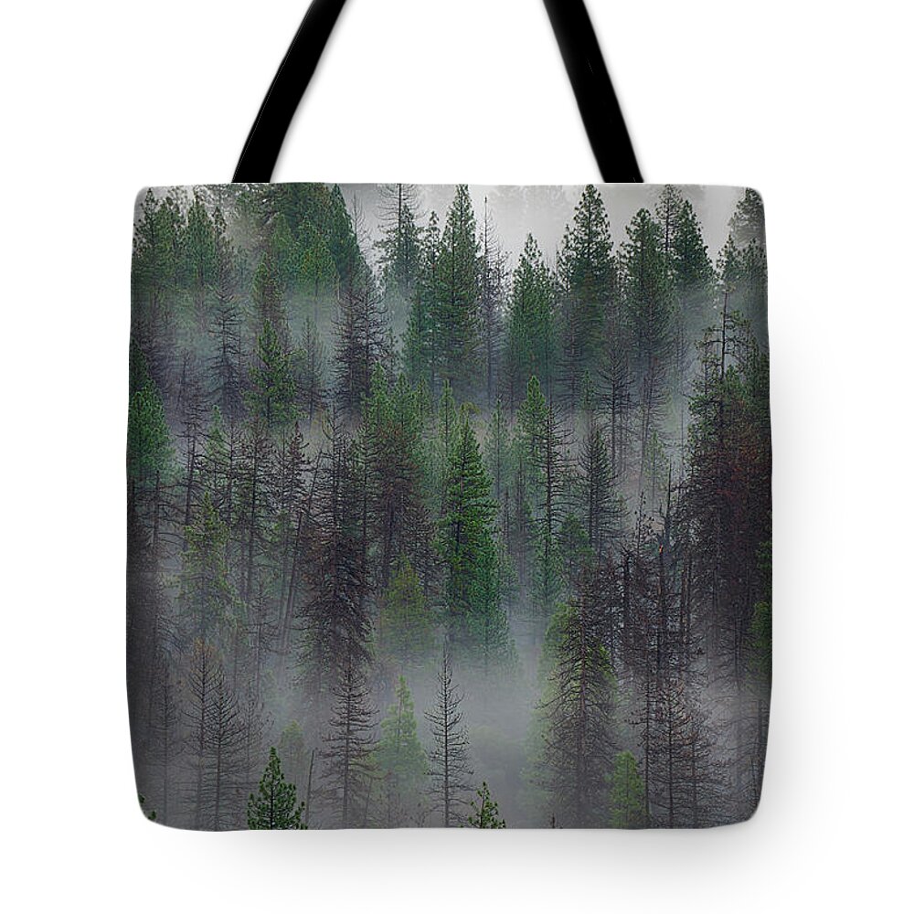 Forest Tote Bag featuring the photograph Green Yosemite by Jon Glaser