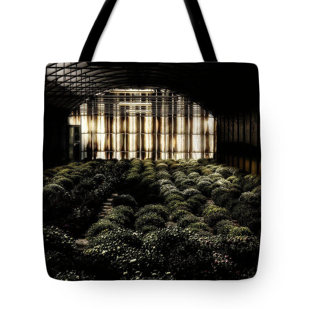 Greenhouse Tote Bag featuring the photograph Greenhouse by Wolfgang Stocker