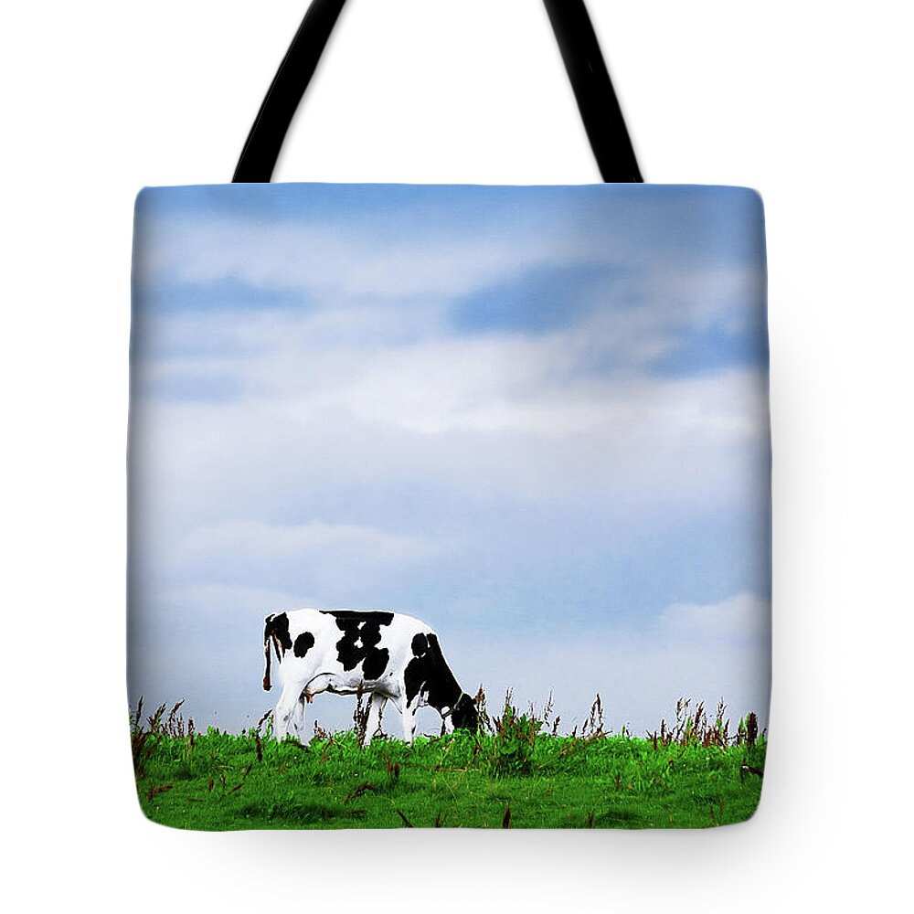 Grass Tote Bag featuring the photograph Greetings From The Dairy Factory by Photo By Patric Ivan