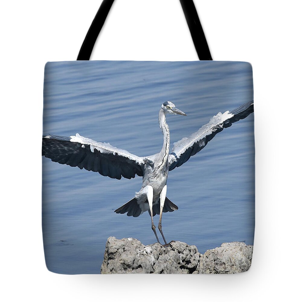 Heron Tote Bag featuring the photograph Grey Heron Landing by Ben Foster