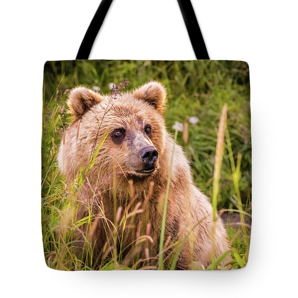 Bear Tote Bag featuring the photograph Grizzly bear cub by Lyl Dil Creations