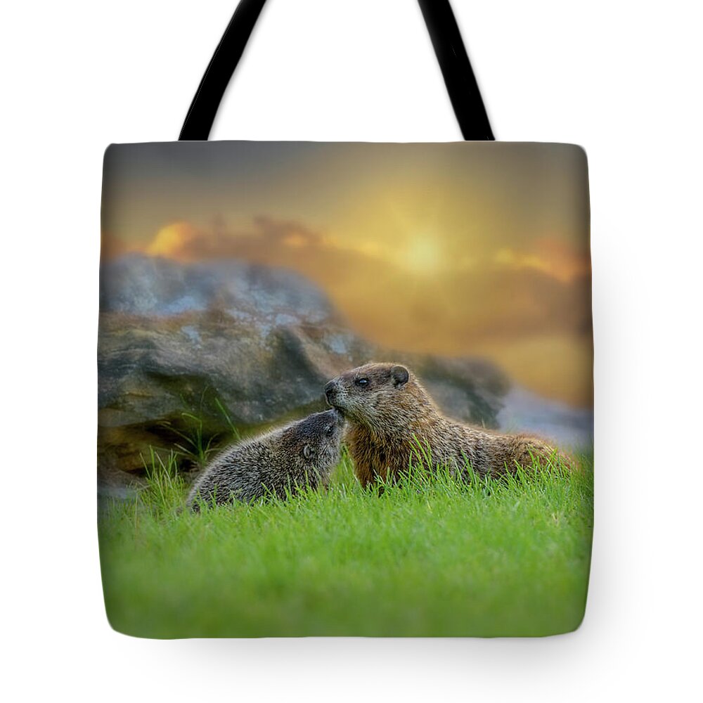 Animal Tote Bag featuring the photograph Groundhog Morning by Bob Orsillo