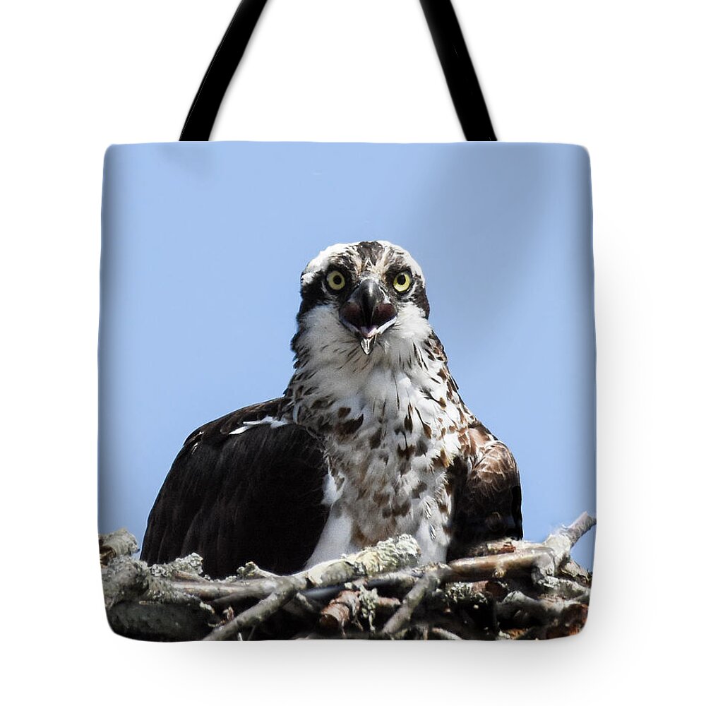 Osprey Tote Bag featuring the photograph Guarding the Nest by Amy Porter